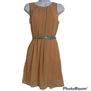 Pants Store Women’s Coral Striped Dress with Belt!